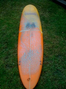 The baghwan The baghwan