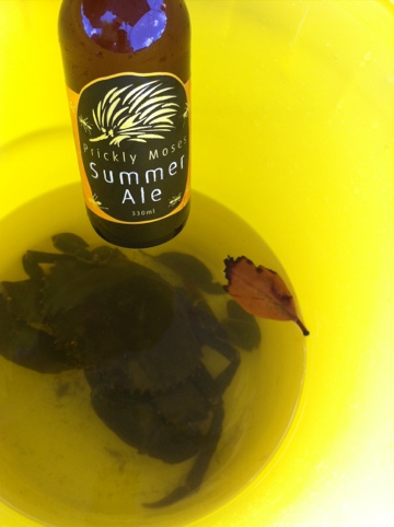 20120101-093947.jpg
