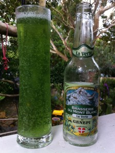 La Verte au Genepi 2