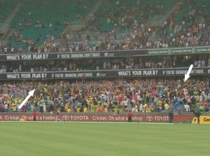 World Record Beer Snake