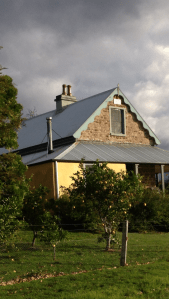 Somewhere in Woodstock